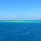 09- Un pate de corail dans le lagon 